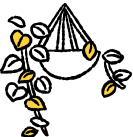壁掛けの植物のイラスト